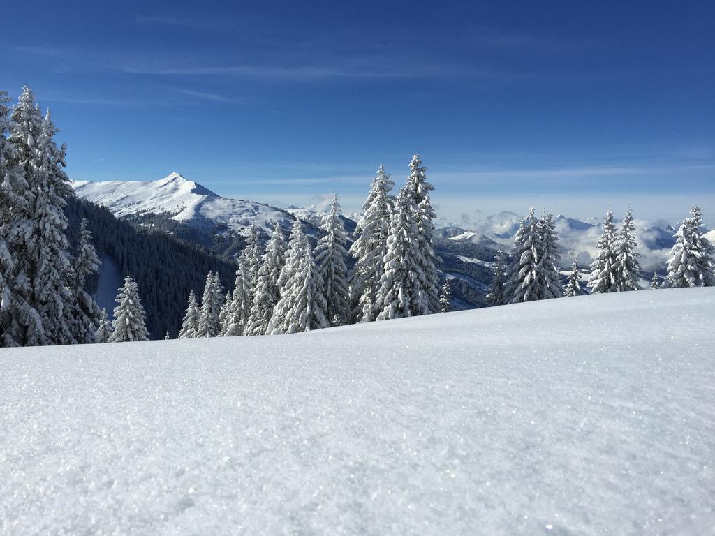 Das Juwel Reith Reith im Alpbachtal Exteriér fotografie