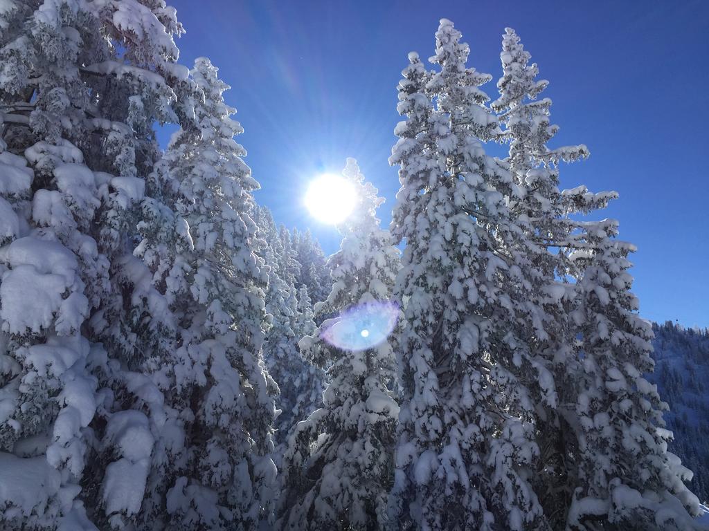 Das Juwel Reith Reith im Alpbachtal Exteriér fotografie